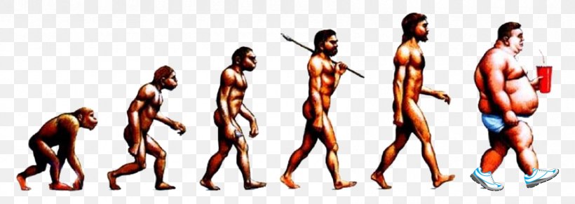 Neandertal Human Evolution Homo Sapiens Transitional Fossil, PNG, 1690x600px, Watercolor, Cartoon, Flower, Frame, Heart Download Free