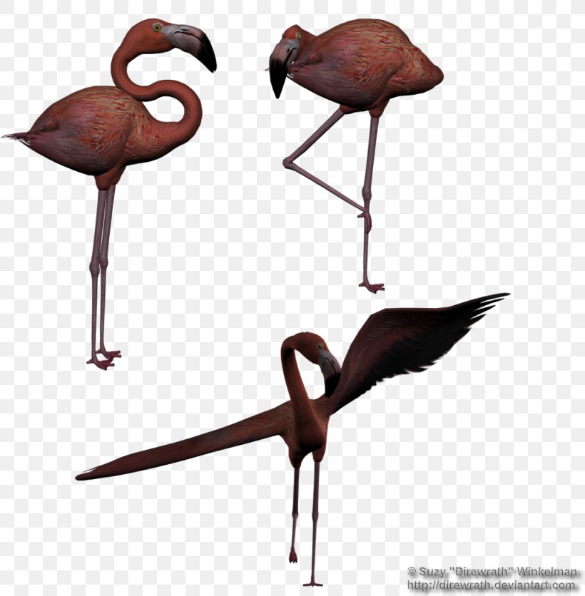 Bird Stock Cygnini Beak Egret, PNG, 1024x1045px, Bird, Beak, Crane Like Bird, Cygnini, Daz Studio Download Free