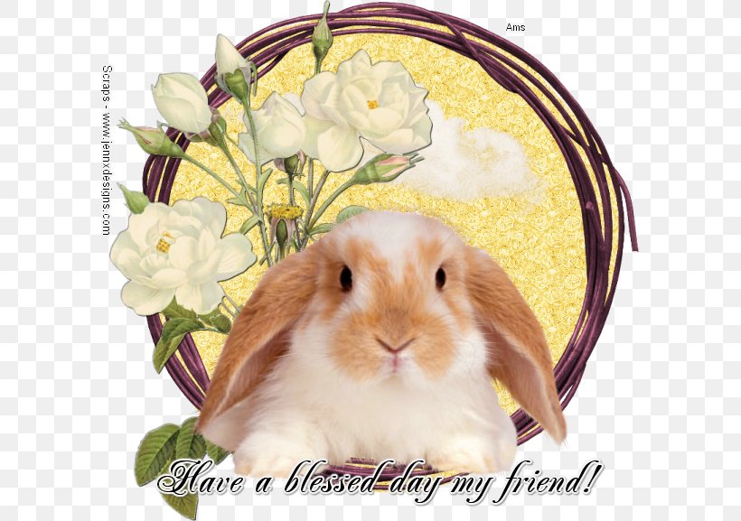 Domestic Rabbit Hare Easter Bunny Animal, PNG, 595x577px, Domestic Rabbit, Animal, Art, Attic, Blessing Download Free