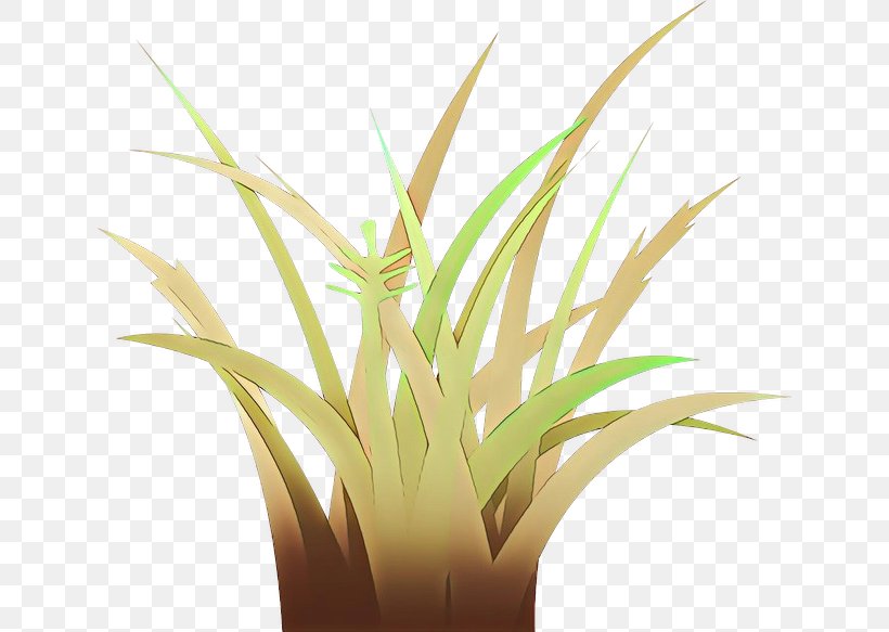 Drawing Of Family, PNG, 640x583px, Vegetation, Drawing, Flower, Flowerpot, Grass Download Free