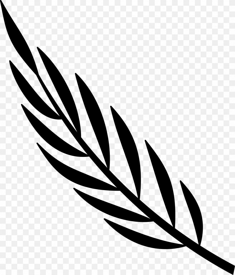 Flag Of Cape Verde Souvenir Clip Art, PNG, 2051x2400px, Cape Verde, Blackandwhite, Botany, Feather, Flag Download Free