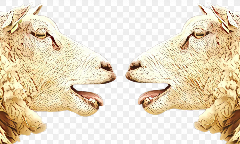 Goats Nose Livestock Snout Animal Figure, PNG, 2580x1552px, Goats, Animal Figure, Cowgoat Family, Goat, Livestock Download Free