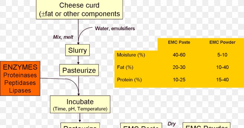 Cheesemaking Penicillium Roqueforti Enzyme Cheddar Cheese, PNG, 1200x630px, Cheesemaking, Area, Cheddar Cheese, Cheese, Dairy Products Download Free