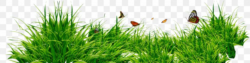 Clip Art, PNG, 3482x889px, Presentation, Business, Commodity, Grass, Grass Family Download Free