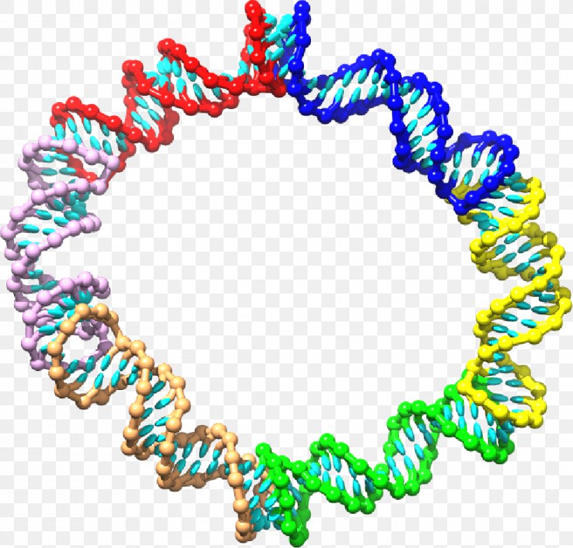 Kissing Stem-loop Nucleotide RNA Pseudoknot, PNG, 903x864px, Kissing Stemloop, Art, Bead, Body Jewelry, Dna Download Free