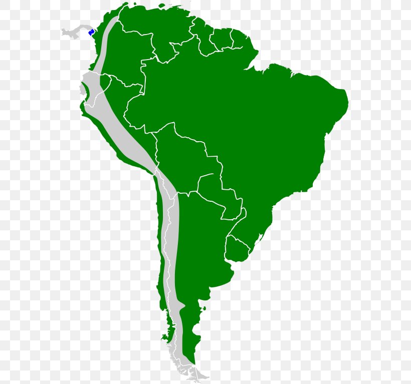 South America United States Map, PNG, 573x767px, South America, Americas, Area, Diagram, Grass Download Free