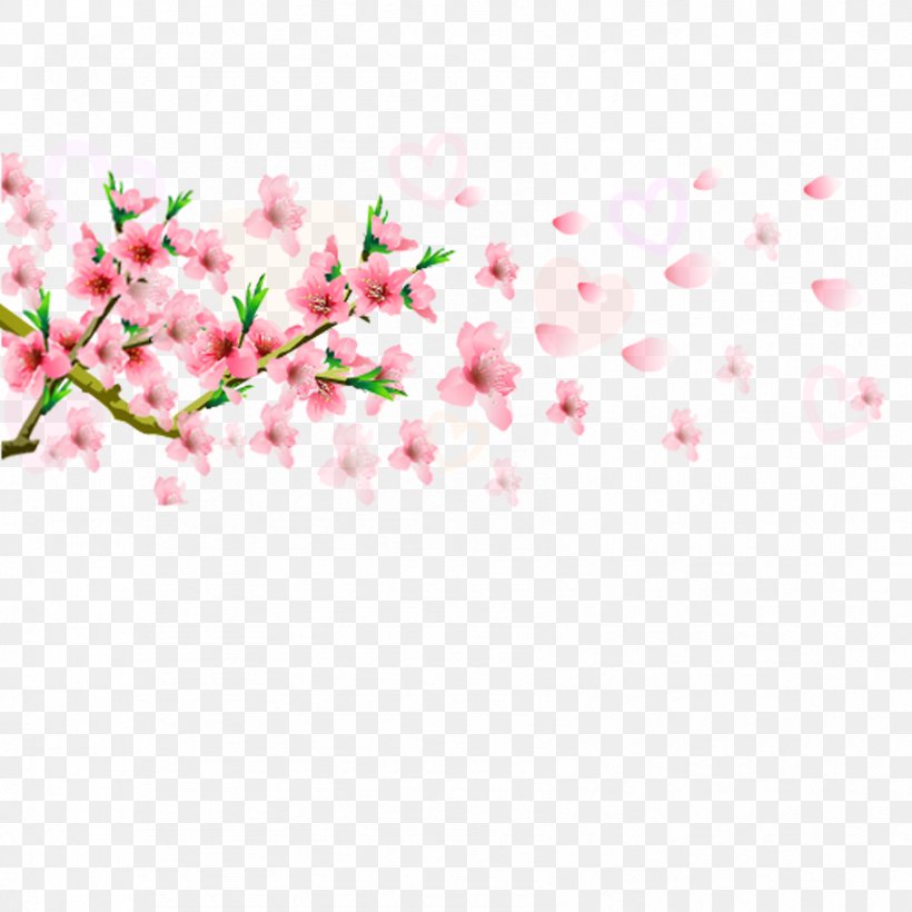 Blossom Flower, PNG, 1701x1701px, Blossom, Branch, Chemical Element, Cherry Blossom, Flower Download Free