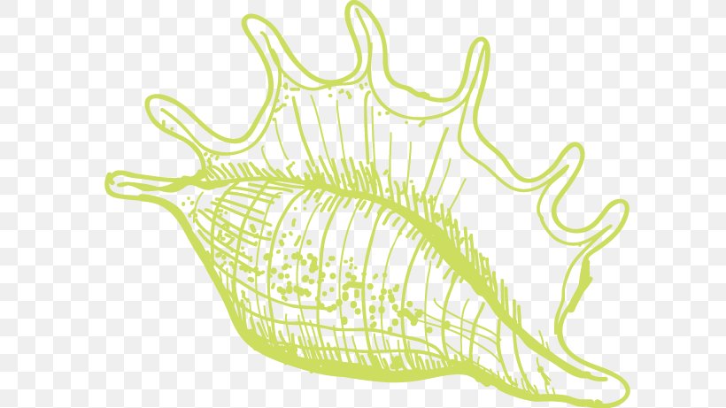 Euclidean Vector Algae Sea Snail Illustration, PNG, 604x461px, Watercolor, Cartoon, Flower, Frame, Heart Download Free