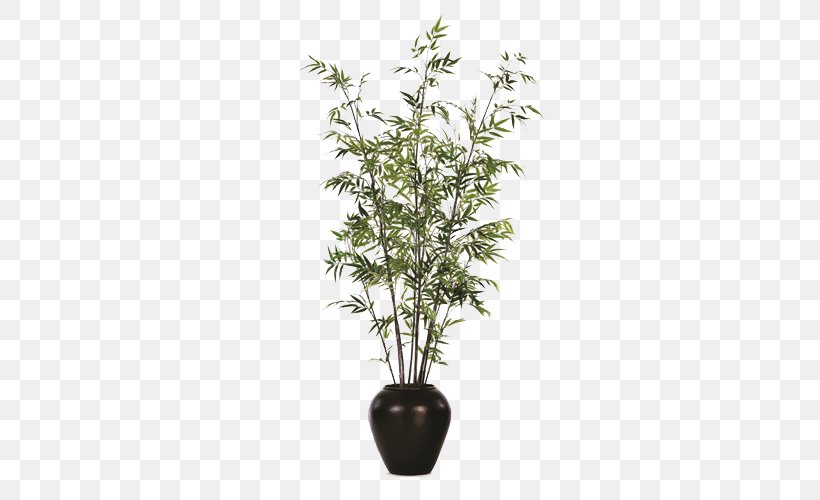 Flowerpot Bamboo Houseplant Weeping Fig, PNG, 500x500px, Flowerpot, Bamboo, Black, Bonsai, Branch Download Free