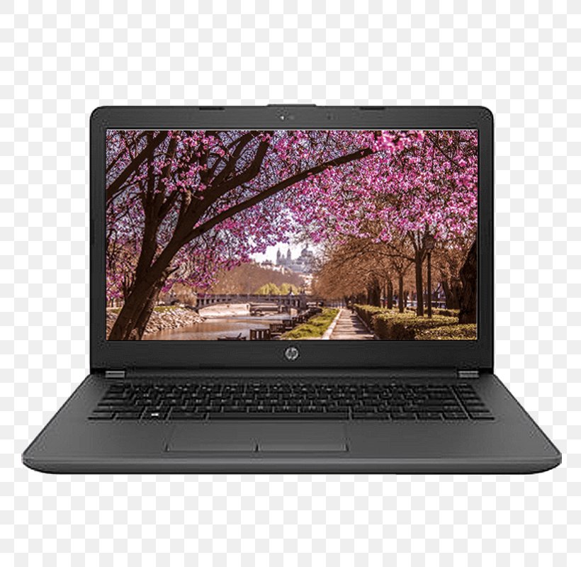 Netbook Laptop Hewlett-Packard Intel Core I5, PNG, 800x800px, Netbook, Allinone, Celeron, Computer, Electronic Device Download Free