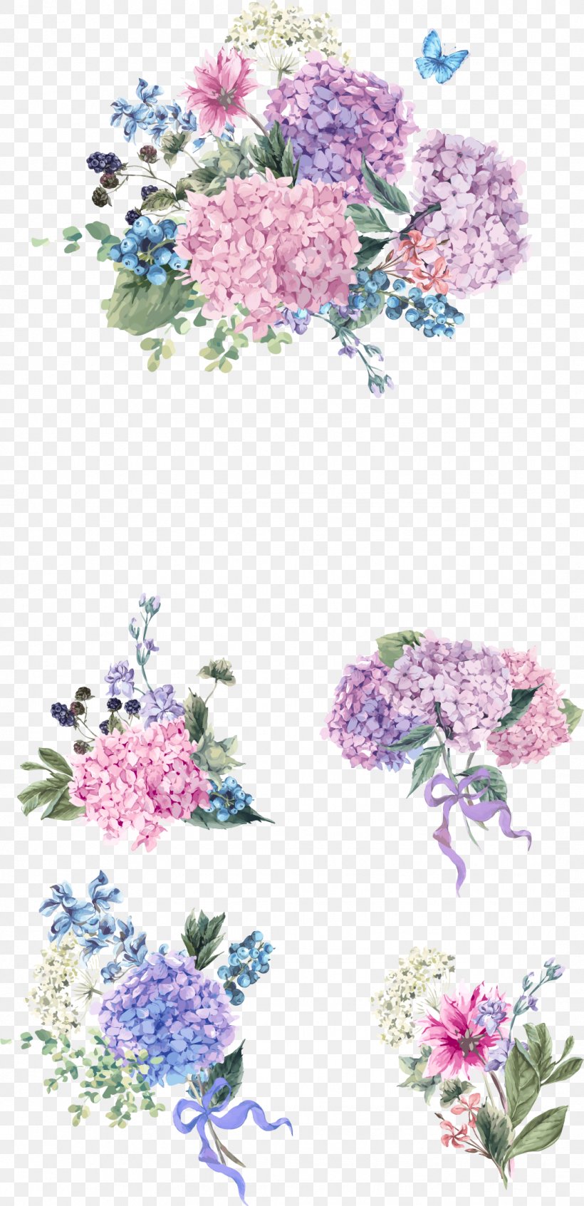 Vector Graphics Illustration Stock Photography Royalty-free, PNG, 1081x2233px, Stock Photography, Botany, Cornales, Cut Flowers, Drawing Download Free