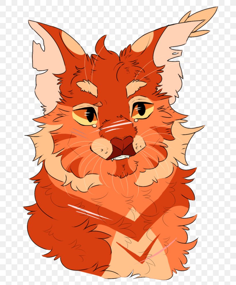 Whiskers Red Fox Somali Cat Dog, PNG, 806x992px, Whiskers, Art, Canidae, Carnivoran, Carnivores Download Free