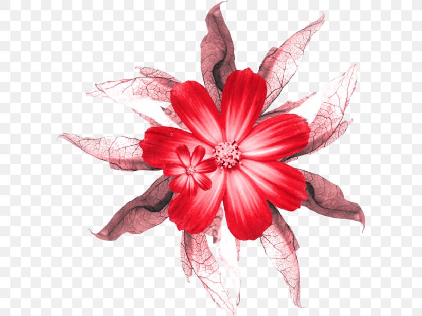 Cut Flowers Rose Clip Art, PNG, 600x615px, Cut Flowers, Floristry, Flower, Flowering Plant, Petal Download Free
