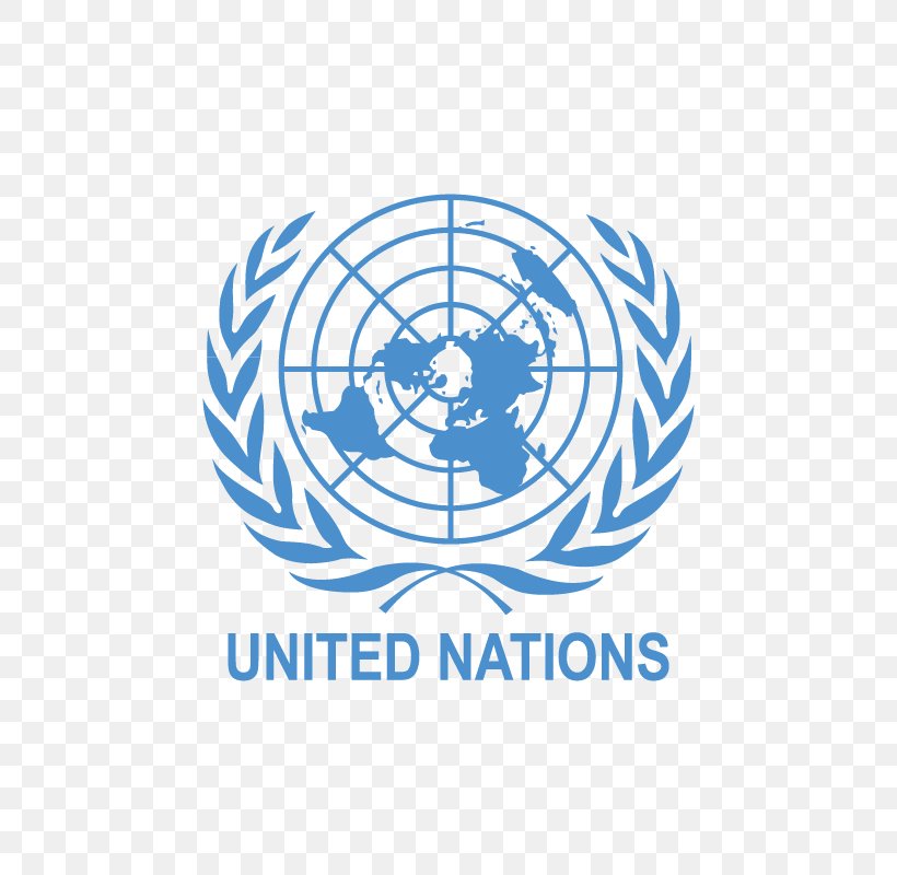 Model United Nations India United Nations General Assembly Flag Of The United Nations, PNG, 800x800px, Model United Nations, Area, Brand, Flag Of The United Nations, India Download Free
