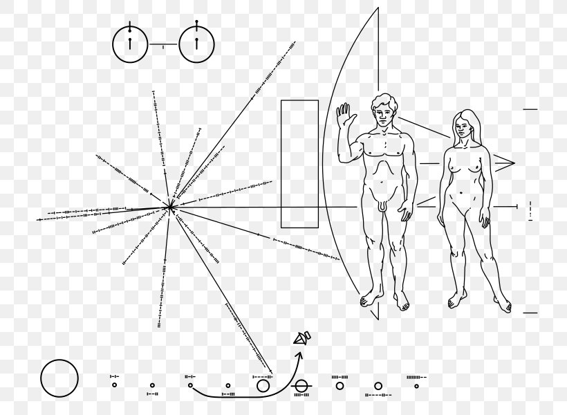 Pioneer Program Voyager Program Pioneer Plaque Pioneer 10 Voyager 1, PNG, 757x600px, Watercolor, Cartoon, Flower, Frame, Heart Download Free