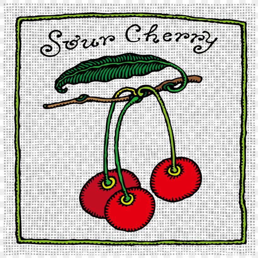 Sour Cherry Drawing Fruit, PNG, 1191x1191px, Cherry, Area, Art, Auglis, Cartoon Download Free