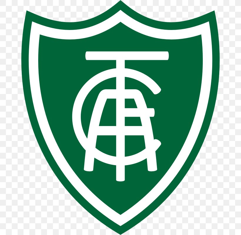 América Futebol Clube Minas Gerais Campeonato Brasileiro Série A Clube