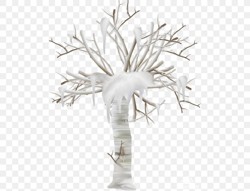 Black And White Twig Scrubs Tree, PNG, 500x627px, White, Arab League, Black, Black And White, Branch Download Free