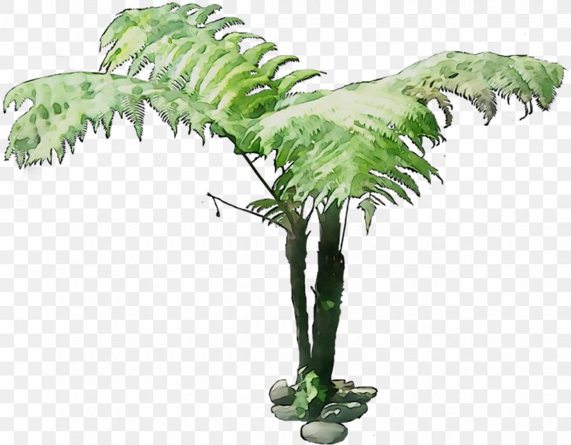Coconut Flowerpot Palm Trees Houseplant Plant Stem, PNG, 1337x1044px, Coconut, Arecales, Flower, Flowerpot, Houseplant Download Free