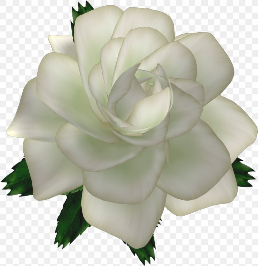 Cut Flowers Ping Garden Roses, PNG, 1046x1080px, Flower, Artificial Flower, Centifolia Roses, Cut Flowers, Flower Bouquet Download Free