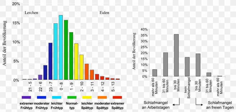 Munich Chronotype Questionnaire Sleep Debt, PNG, 1200x570px, Chronotype, Brand, Chronobiology, Circadian Rhythm, Diagram Download Free