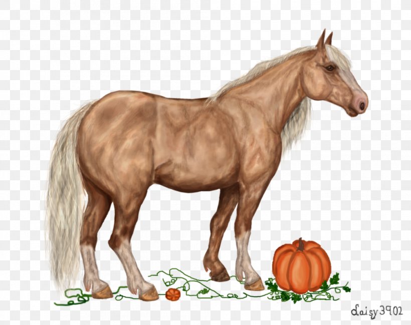 Mustang Pony Stallion Foal Mare, PNG, 1004x795px, Mustang, Caricature, Cartoon, Colt, Drawing Download Free