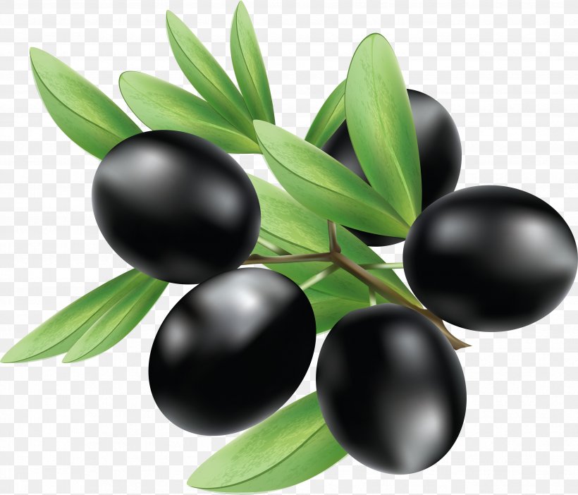 Olive Illustration, PNG, 3519x3014px, Olive, Berry, Food, Fruit, Olive Leaf Download Free