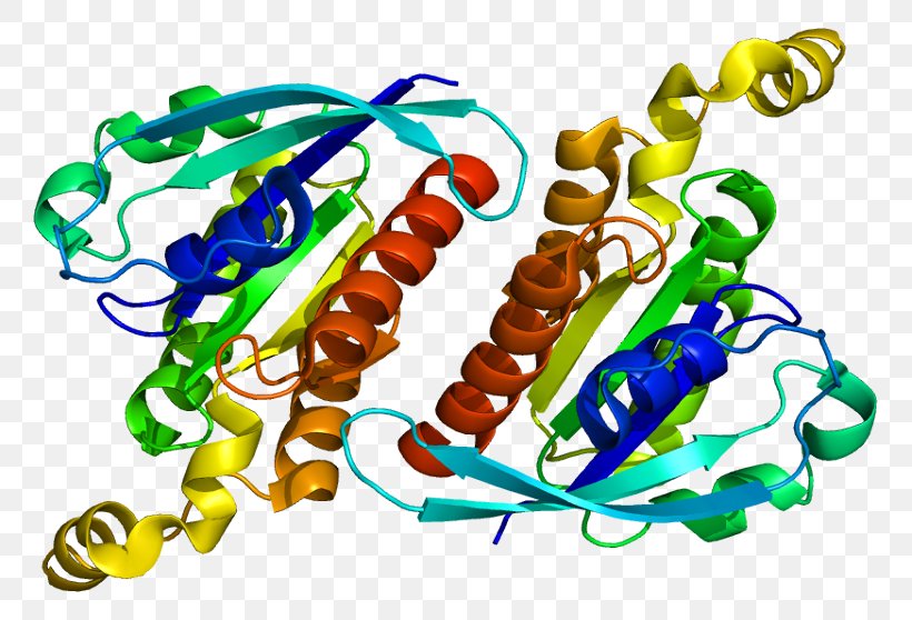 Rho Family Of GTPases G Protein Guanine Nucleotide Exchange Factor, PNG, 809x558px, Watercolor, Cartoon, Flower, Frame, Heart Download Free