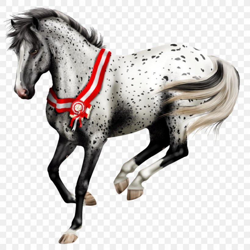 Stallion Knabstrupper Pony Colt Drawing, PNG, 1024x1024px, Stallion, Animal, Animal Figure, Breed, Bridle Download Free