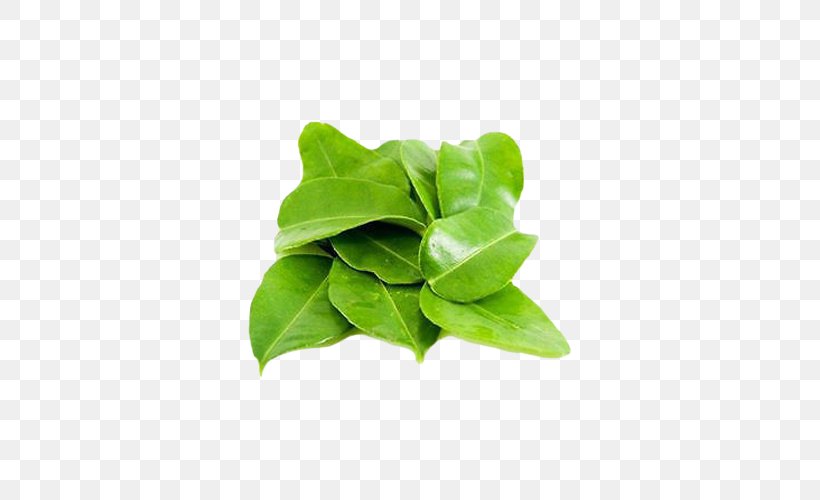 Thai Cuisine Kaffir Lime Key Lime Cymbopogon Citratus Leaf, PNG, 500x500px, Thai Cuisine, Basil, Calamondin, Citrus, Cymbopogon Citratus Download Free