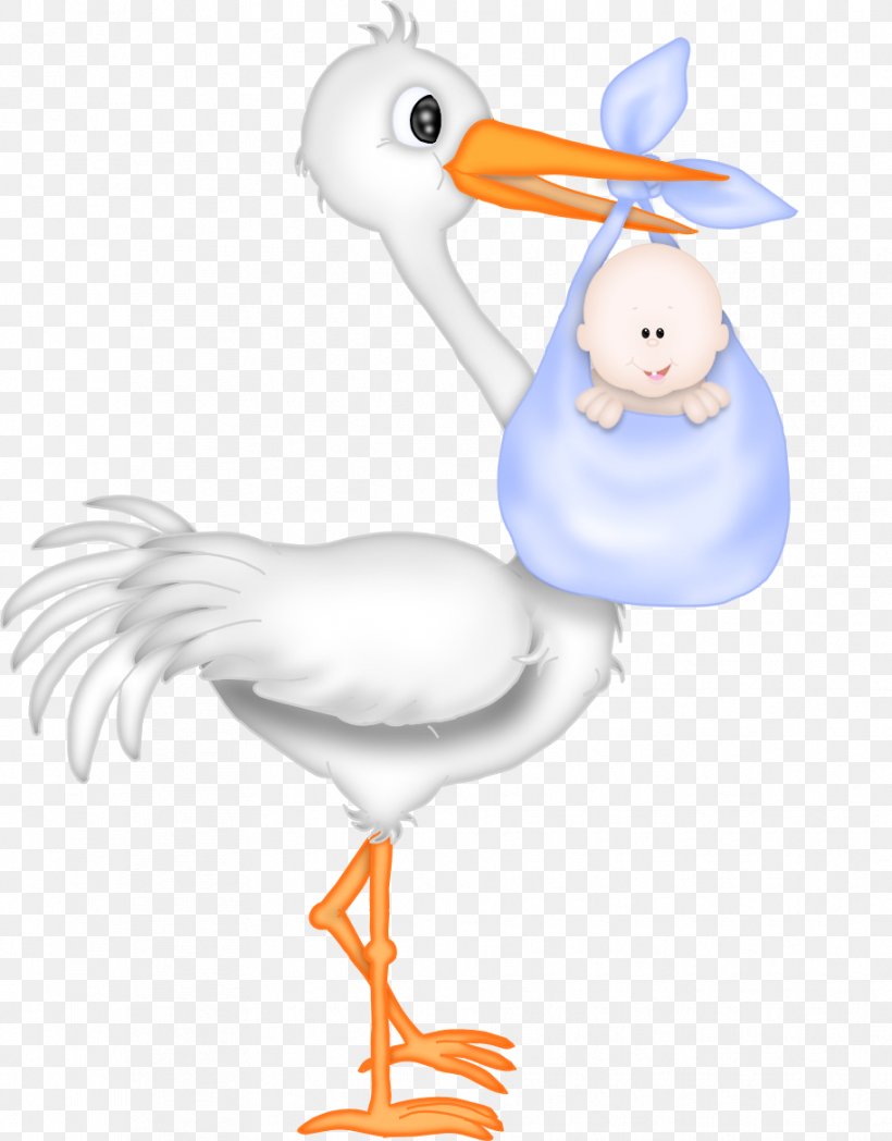 Wedding Invitation Baby Shower Stork Infant, PNG, 914x1169px, Wedding Invitation, Baby Announcement, Baby Shower, Beak, Bird Download Free