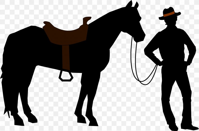 American Quarter Horse Arabian Horse Criollo Horse Howrse Riding Horse, PNG, 2400x1586px, American Quarter Horse, Animal, Arabian Horse, Bay, Bit Download Free