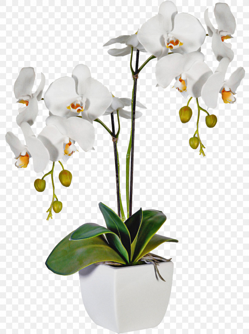 Artificial Flower, PNG, 1592x2130px, Flower, Artificial Flower, Cut Flowers, Dendrobium, Flowerpot Download Free