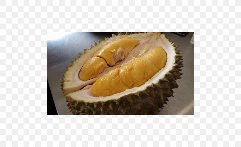 Durio Zibethinus Malaysian Cuisine Durian Pancake Fruit Civet, PNG, 500x500px, Durio Zibethinus, Benih, Civet, Delivery, Durian Download Free