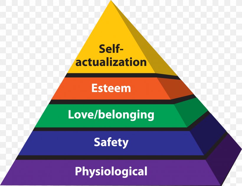 Maslow's Hierarchy Of Needs Humanistic Psychology Homo Sapiens, PNG ...