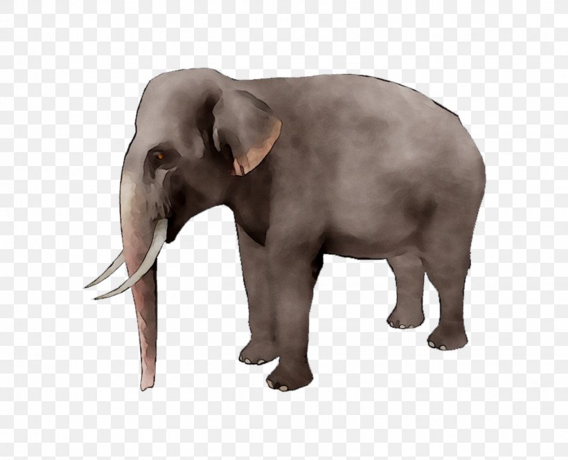 African Elephant Stock Photography Stock.xchng Royalty-free, PNG, 1341x1088px, African Elephant, Animal Figure, Asian Elephant, Elephant, Elephants And Mammoths Download Free
