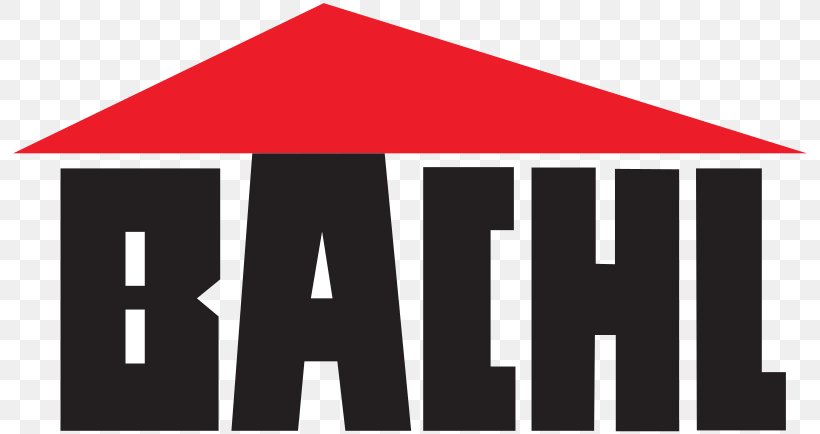 Karl Bachl GmbH & Co. KG Logo Product Extrudierter Polystyrol-Hartschaum Polystyrene, PNG, 800x434px, Logo, Area, Brand, Gmbh Co Kg, Polystyrene Download Free