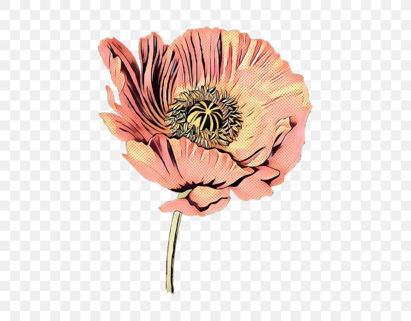 Pink Flower Cartoon, PNG, 512x640px, Cut Flowers, Bayan, Common Poppy, Coquelicot, Flower Download Free