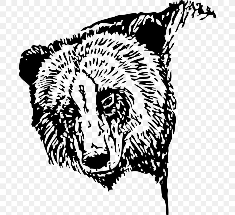 Polar Bear Clip Art Drawing, PNG, 690x750px, Bear, American Black Bear, Big Cats, Blackandwhite, Brown Bear Download Free
