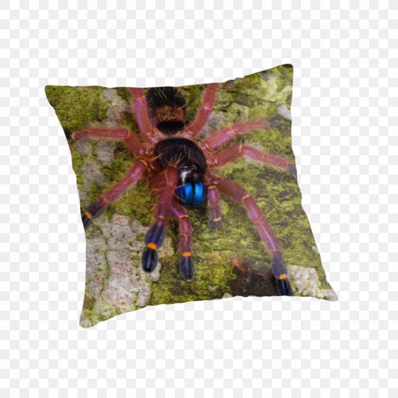 Throw Pillows Cushion Insect, PNG, 875x875px, Throw Pillows, Cushion, Insect, Invertebrate, Membrane Winged Insect Download Free