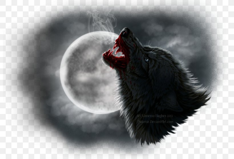 Dog Werewolf Jacob Black Art Aullido, PNG, 800x558px, Dog, Art, Aullido, Beak, Black And White Download Free
