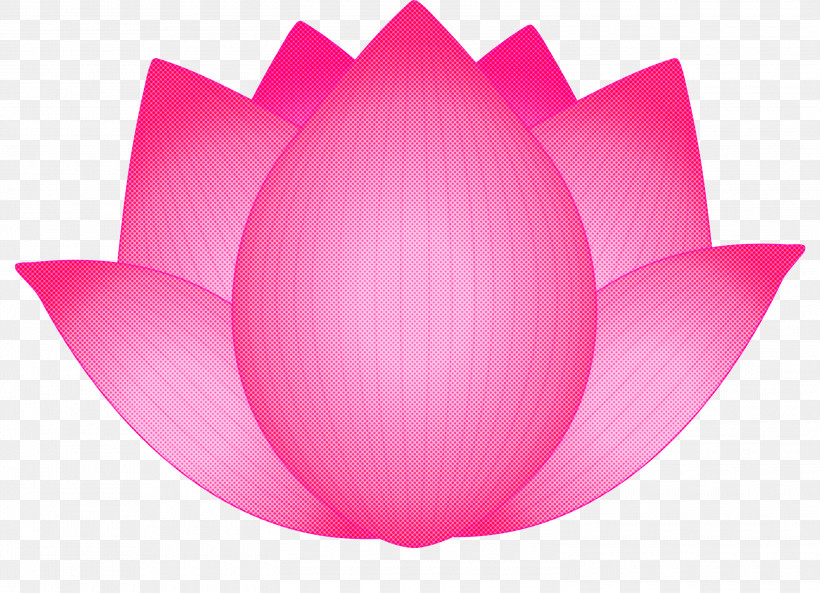 Lotus Flower, PNG, 3000x2171px, Lotus, Aquatic Plant, Flower, Herbaceous Plant, Lily Family Download Free