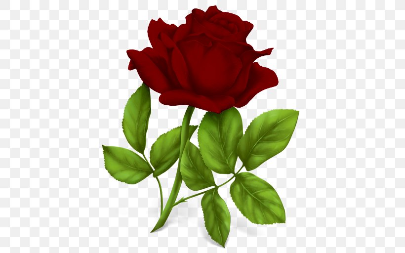 Rose Download Clip Art, PNG, 512x512px, Rose, China Rose, Cut Flowers, Floribunda, Flower Download Free