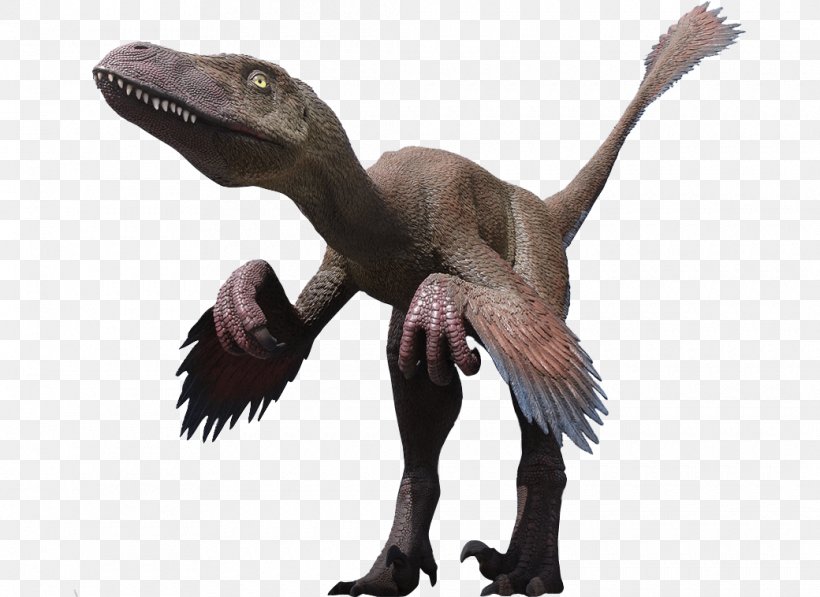Velociraptor Deinonychus Utahraptor Tyrannosaurus Dinosaur, PNG, 1040x758px, Velociraptor, Carnivore, Claw, Coelurosauria, Cretaceous Download Free