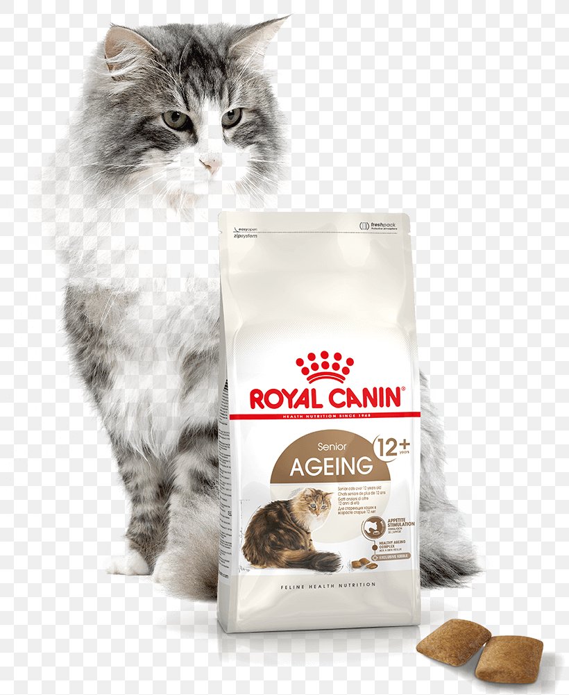 Cat Food Norwegian Forest Cat Persian Cat British Shorthair Maine Coon, PNG, 813x1001px, Cat Food, British Shorthair, Cat, Cat Health, Cat Like Mammal Download Free