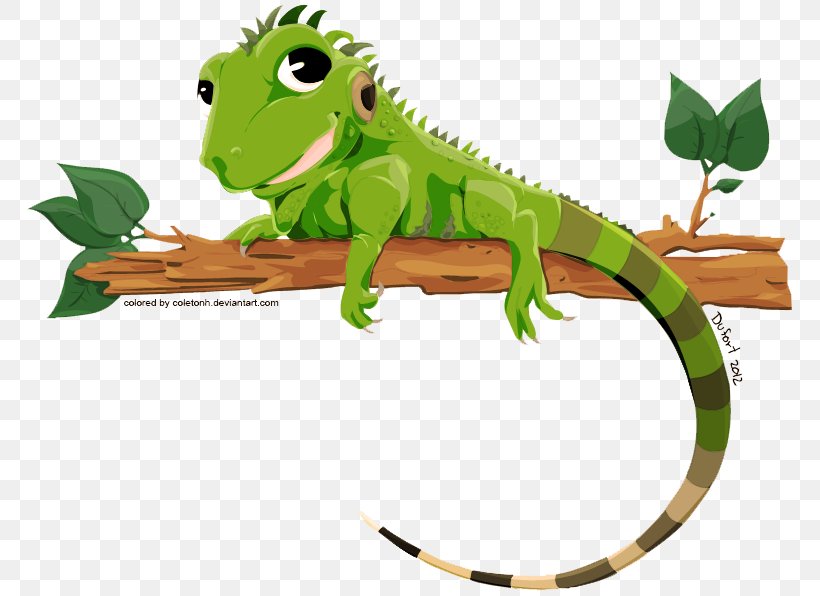 Lizard Green Iguana, PNG, 774x596px, Green Iguana, Amphibian, Chameleons, Clip Art, Common Iguanas Download Free