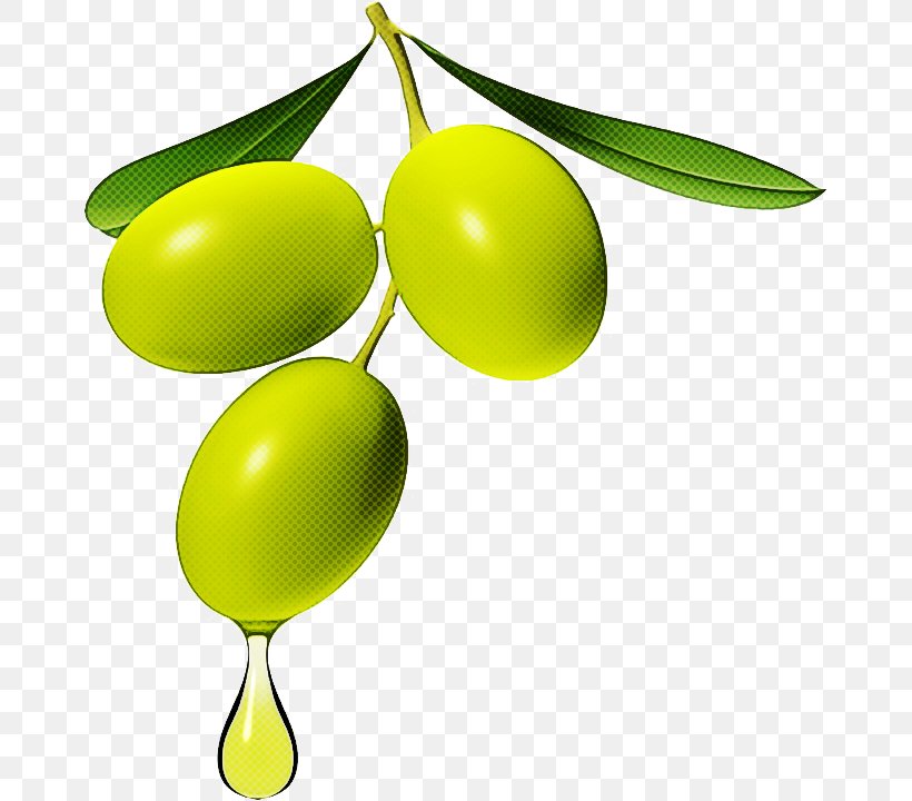 Olive Yellow Fruit Plant Leaf, PNG, 669x720px, Olive, Fruit, Leaf, Plant, Tree Download Free