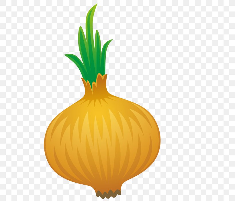 Pumpkin Calabaza Yellow Onion, PNG, 700x700px, Pumpkin, Ananas, Calabaza, Commodity, Cucurbita Download Free