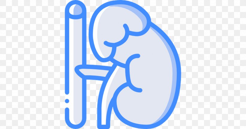 Adrenal Gland Adrenal Fatigue Logo Unsplash Health, PNG, 1200x630px, Adrenal Gland, Adrenal Fatigue, Adrenal Gland Disorder, Area, Blue Download Free