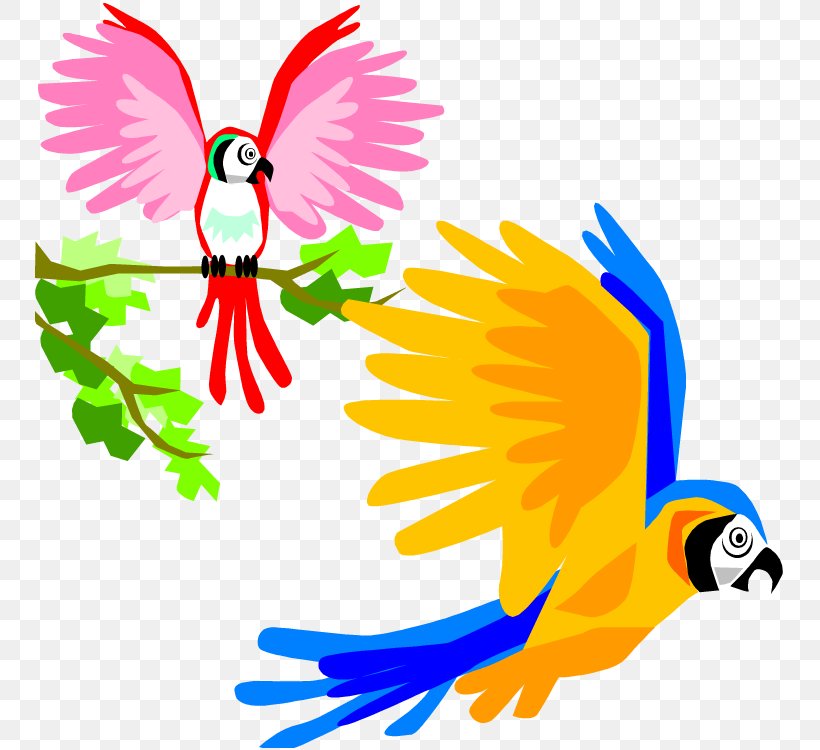 Parrot Bird Flight Macaw Clip Art, PNG, 750x750px, Parrot, Art, Artwork, Beak, Bird Download Free